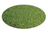 Saatzucht Bardowick Mikroklee Microclover Zwergklee für 50m² gleichmäßigen dichten ganzjährig grünen Rasen - 100g Klee Samen - Rasenklee Miniklee
