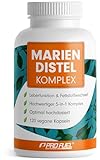 Mariendistel Kapseln hochdosiert 120x - 5-fach-Komplex mit Mariendistel, Artischocke, Löwenzahn, Desmodium & Cholin - Leberfunktion & Fettstoffwechsel - 200 mg Silymarin pro Tag - Vorrat für 4 Monate