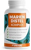 Mariendistel Kapseln hochdosiert 120x - 5-fach-Komplex mit Mariendistel, Artischocke, Löwenzahn, Desmodium & Cholin - Leberfunktion & Fettstoffwechsel - 200 mg Silymarin pro Tag - Vorrat für 4 Monate