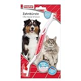 Beaphar Zahnbürste - Für Hunde und Katzen - Mit speziellem Borstenschnitt für gründliche und schonende Reinigung - 1 Stück, Rot