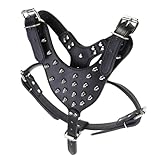 Happyyami Praktische Hundeweste mit Verstellbarem Welpengurt Stilvolles Design Sicherer Sitz für Outdoor Aktivitäten für Brustumfang und Halsumfang