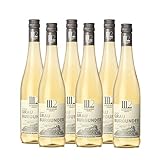 1112 Grauburgunder Trocken – Weißwein der Marke Elfhundertzwölf / Weisswein Baden / Grauer Burgunder / Badischer Wein / Trockener Weißwein (6 x 0,75l)
