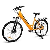 Molicycle R1 E-Bike Damen 26 Zoll Tiefeinsteiger Elektrofahrrad, Heckmotor 42N.m, 36V 14.5Ah Akku, 110Km Reichweite, Ebike Herren mit App