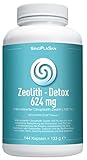 Zeolith Detox MED 624 mg | zur Reduzierung von Schwermetallbelastung, insbesondere Blei, Cadmium, Quecksilber | höchste Medizinproduktqualität | 144 Kapseln