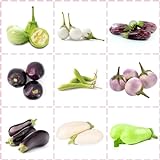 100 pcs aubergine samen bio, samen gemüse, plants (Solanum melongena) bio gemüse, garten samen gartensamen, balkon pflanze gemüse samen, nachhaltige geschenke gemüsesamen bio, hochbeet