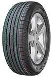 Goodyear EfficientGrip Performance | Sommerreifen 205/55R16 91V FI