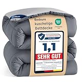 BEDSURE Bettdecke 155x220 Ganzjahresdecke Steppdecke - Bettdecke Ohne Bezug 155x220cm 300GSM - 4 Jahreszeiten Bettdecken Wende Grau/Hellgrau, Weiche Warm Duvet Schlafdecke für Allergiker