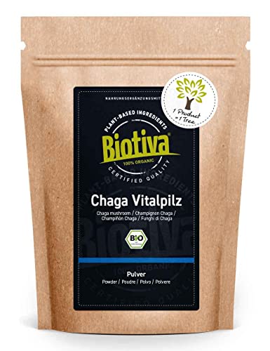 Biotiva Chaga Pilz Pulver Bio 125g - Wildsammlung - Innere Mongolei und Sibirien - Vitalpilz - Schiefer Schillerporling - Abgefüllt und kontrolliert in Deutschland