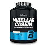 BioTechUSA Micellar Casein Protein Powder - Verlängerte Absorptionszeit, glutenfrei und fettfrei - L-Glutamin hinzugefügt, 2.27 kg, Vanille