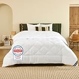 DREAMWAY - Bettdecke 240x220 cm Ganzjahresdecke 4 Jahreszeiten, Steppdecke 300gsm Mikrofaser 220x240, Super Weiche Zudecke Schlafdecke Atmungsaktive 240 x 220 Weiß, Oeko-Tex Zertifiziert