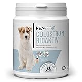 ReaVET Colostrum Pulver für Hund & Katze 100g - Immun Boost mit hohem Immunglobulin Gehalt, Immunsystem stärken, Magen & Darm, Natürliches Kolostrum