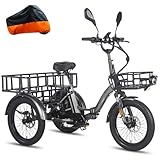 Fafrees 2025 F20 Mate Fat Klapprad E-Bike Dreirad für Erwachsene 20 Zoll 48V 21Ah Akku [ Offiziell ] Elektrofahrrad 65 N.m, Elektro Lastenfahrrad 180kg, Ebike Dreirad für Damen und Herren - Update
