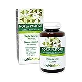 Hirtentäschel (Capsella bursa-pastoris) Kraut Naturalma | 150 g | 300 Tabletten á 500 mg | Nahrungsergänzungsmittel | Natürlich und Vegan