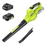 SnapFresh Laubbläser Akku-Laubbläser Kabelloser 20V 210 km/h 240m³/h / 2-Luftgeschwindigkeit/mit Akku und Ladegerät/Leicht Kompakte 1,2kg für Garten Hof Rasenpflege (Grün)