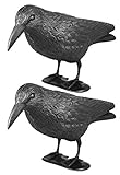 mgc24 Taubenschreck Rabe Lummy - Schwarze Vogelattrappe aus Kunststoff zur Abwehr von Tauben, Möwen, Kleinvögeln für Garten, Balkon, Terrasse - 2 Stück