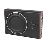 10 Zoll Schlanker Max 600W Subwoofer Aktiv Powered Untersitz-Auto Audio Subwoofer mit Eingebautem Verstärker, Untersitz Subwoofer Aktiv für Auto/LKW, Niedrigen und Hohen Eingangspegeln