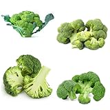 brokkoli brokkolisamen gemüsesamen winterhart, gemüsepflanzen wintergemüse samen gemüsesamen steingartenpflanzen winterhart pflanzensamen, gemüsesamen alte sorten wintergemüse pflanzen 25pcs