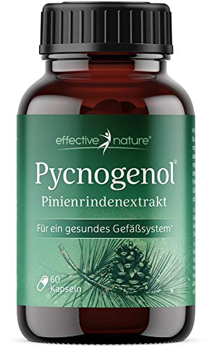 Pinienrindenextrakt hochdosiert - Original Pycnogenol - mit Vitamin C aus der Acerolakirsche - 60 vegane Kapseln - Reicht für zwei Monate - Vegan