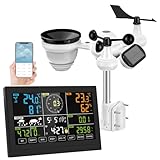 PetierWeit 7-in-1 Wlan Wetterstation mit App, Professional Wetterstation mit Windmesser und Regenmesser, mit 7.5 Zoll Digital Farbdisplay, Solarsensor für Zuhause, Büro Hausgarten
