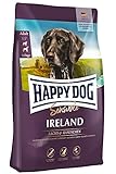 Happy Dog Sensible Ireland - M - Trockenfutter, Hundefutter - Geschmacksrichtung Lachs & Kaninchen - 12,5kg