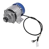24 V 500W Elektrisch Dreirad bürstenloser Motor professionelles Aluminiumgehäuse Dauermagnet DC -Verzögerungsmotor
