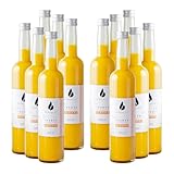 Bergblut Bio Ingwer Konzentrat mit Kurkuma – 12 x 500 ml Ingwerkonzentrat mit Kurkuma, Zitronen & Limetten | Kurkuma Ingwer Saft für Golden Milk, Limonade & Ingwer Shot | Vegan & ohne Zucker/Zusätze