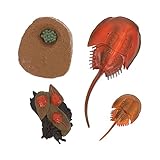 Milisten 1Satz Tier Umweltfreundliche Mini Seetier Figuren für Home Dekoration und Lehrmittel Korrosionsbeständig für Aquarium Dekoration
