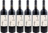 Pagani de Marchi Principe Guerriero Anfora Toscana IGP 2022 Trocken Bio (6 x 0.75 l)