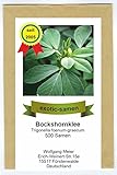 Bockshornklee - Bienenweide - Gewürz- und Arzneipflanze - salz- und trockentolerant - 500 Samen