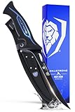 DALSTRONG Fillet Knife - 7 inch Flexible Blade - Night Shark Series - 7CR17MOV High Carbon Steel - Titanium Coated Blade - Water Outdoor & Fishing - Polypropylene Handle - Nylon Sheath - NSF Certified