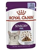 Royal Canin Sensory Feel Jelly | 12 x 85 g | Nassfutter für ausgewachsene Katzen | Stückchen in Gelee | Zur Anregung des Mundgefühls | Instinktiv bevorzugt