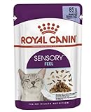 Royal Canin Sensory Feel Nassfutter in Gelee für wählerische Katzen 12 x 85 g