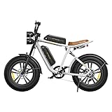 ENGWE E Bike Herren Elektrofahrräder-Ebike mit 2 Batterien 48V 13Ah, E-Bike 20 Zoll, Ebike Herren bis zu 75km+75km, Elektrofahrrad Shimano 7-Gang, M20
