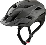 ALPINA Stan MIPS - Leichter, Sicherer & Optimal Belüfteter All-Mountain MIPS Fahrradhelm mit Fliegennetz, für Erwachsene, Coffee-Grey matt, L (60-64 cm)