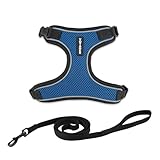 Voyager Ausbruchsicheres Katzengeschirr und Leine, Set mit reflektierenden Nähten, Neoprengriff, 1,5 m – unterstützt kleine, mittelgroße und große Katzen, Kätzchen zum Spazierengehen von Best Pet