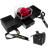 E-MANIS Schönheit und das Biest Rose Handgemachte konservierte Rose Schmuck Geschenkbox Nie verwelkte Rosen Ewige Blume für Liebhaber Geschenk für Sie AmValentinstag Muttertag Weihnachtstag (Rot)