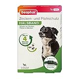BEAPHAR - Zecken- und Flohschutz Halsband für Hunde ab 12 Wochen - Repellent - 4 Monate Schutz vor Zecken, Flöhen und Mücken - Regenfest - Verstellbar - Bandlänge 65 cm - Dunkelgrün