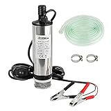 Edelstahl Transfer Pumpe 12V 51mm Wasserpumpe Tauchpumpe für Auto Diesel Öl Heizöl Wasser Kraftstofftransfer Pumpe mit Herausnehmbarem Filter, 3m PVC Transparenter Schlauch, Schlauchklemmen