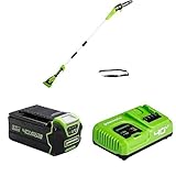 40V Akku Hochentaster von Greenworks, 20 cm Blattlänge, 8 m/s Kettengeschwindigkeit, 2.58m Stangenreichweite + Schnell Aufladbarer 40V 5Ah Lithium-Ionen Akku+ 5A Schnellladegerät