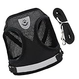 Dokeno Katzengeschirr mit Leine Set Katzenleine mit Geschirr Ausbruchsicher für Katzen Weich Mesh Westen Geschirre mit Leuchtstreifen für Outdoor Training Gehen (S)