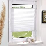 Plissee Klemmfix ohne Bohren Weiß 40x120cm(BxH) Plissees lichtdurchlässig Blickdicht Jalousien ohne Bohren Fensterrollo Klemmrollos Sonnenschutz Sichtschutz Faltrollo Easyfix Rollos für Fenster