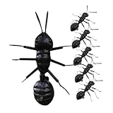 Toyvian 6Stücke Ameisen Dekoration Realistische Ameisenfiguren für Garten Innenräume Kreative Ornamente für Schreibtisch Stilvolle Ameisen Modelle