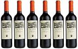 El Coto Rioja Crianza D.O.Ca. Bodegas Rotwein trocken (6 x 0.75 l)