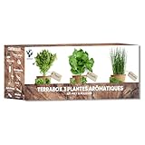 Kräuter- & Aroma-Set – Mini-Gemüsegarten für drinnen und draußen – Bio-Samen (Basilikum, Petersilie, Schnittlauch) – außergewöhnliche Geschenkidee & Küche – umweltfreundliches Produkt – hergestellt in