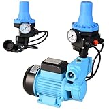 Wasserpumpe WZP 750 mit Elektronische Druckschalter CSK 31 - Pumpensteuerung - Gartenpumpe (750W, 3000l/h Förderhöhe 55m) - Gußeisen - Einschaltdruck einstellbar - Hauswasserautomat Trockenlaufschutz