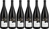Bottwartaler Winzer Großbottwarer Wunnenstein Schwarzriesling 2024 Halbtrocken (6 x 1.0 l)