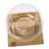 Toddmomy Transparente Micro Landschaft Glasflasche mit Bambusuntersetzer Runde Öffnung Glatte Oberfläche für DIY Moos Kleine Dekorationen und Badezimmer Ökologisches Flaschengarten