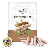 Hawlik Pilzbrut I das Original I Austernpilze als Dübel-Brut zum selber züchten - kinderleicht frische Pilze ernten - 20 Pilzdübel für die Zucht auf Holz und Stroh