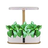 RoseFlower Hydrokultur-Anzuchtsysteme, Indoor Pflanzenanzucht Station, Kräutergarten mit LED-Licht, bis zu 28 cm höhenverstellbar, für den Innenbereich, Gartensystem für Zuhause-Weiß