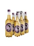 Thomas Henry Ginger Ale - besonders würzig - (6 x 750 ml PET-Flasche DPG Einweg) 6er Set Ingwerlimonade zum Mixen deiner Longdrinks und Cocktails mit Whisky, Rum & Co.